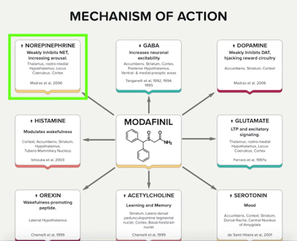 Modafinil mechanism