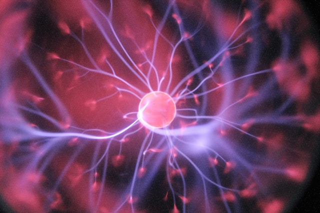 modafinil mechanism of action