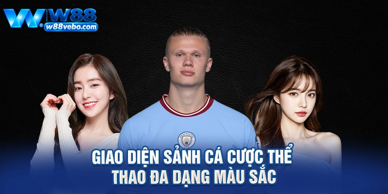 Giao diện sảnh cá cược thể thao đa dạng màu sắc
